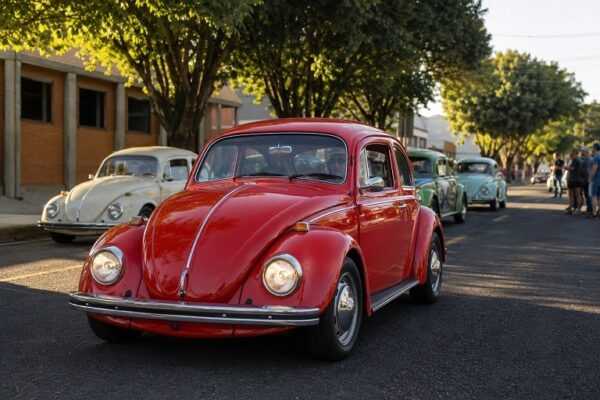 Gincana com Fusca reúne competição, encontro de carros velhos e ação solidária em Votuporanga gincana-com-fusca-reune-competicao,-encontro-de-carros-antigos-e-acao-solidaria-em-votuporanga